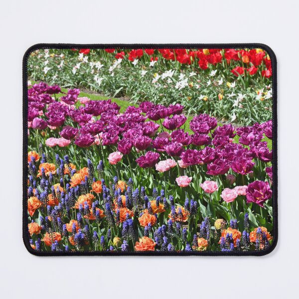 Item preview, Pretty colorful Tulips designed and sold by studio838.