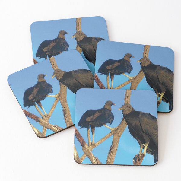 Item preview, Black Vultures (Coragyps atratus) designed and sold by passarinhalan.
