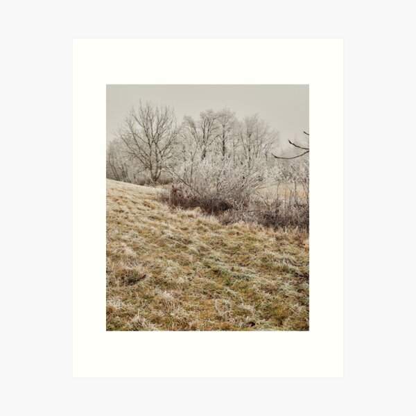 Frosted Nature in November photography Art Print