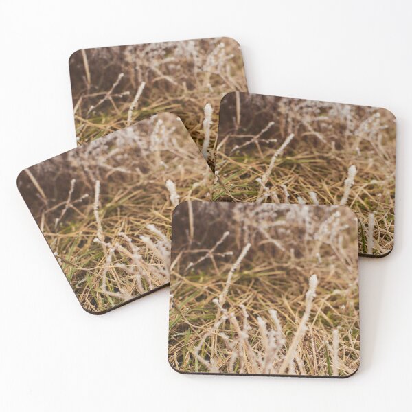 Item preview, Frosted grass in November - photography designed and sold by Tilosparty30.