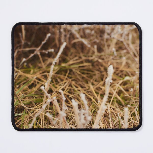 Item preview, Frosted grass in November - photography designed and sold by Tilosparty30.
