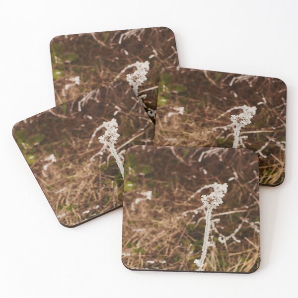 Item preview, Frosted nature in November - photograpy designed and sold by Tilosparty30.