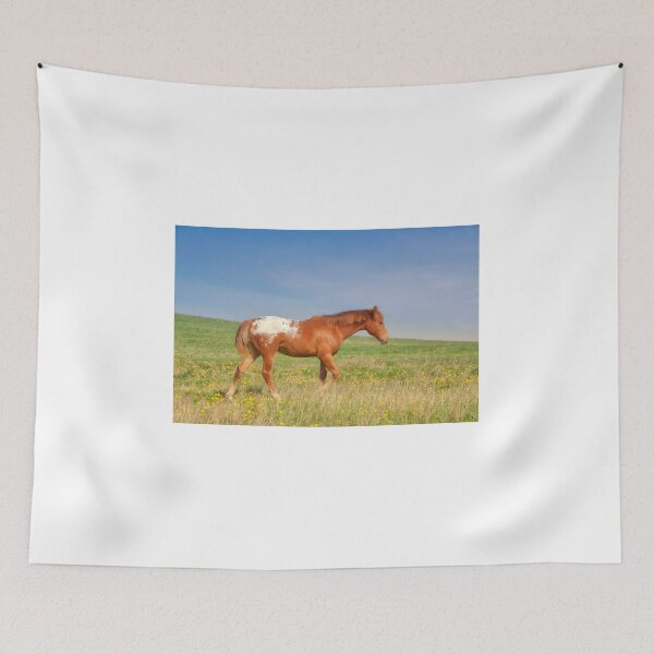 Item preview, Colorful young horse on the prairies designed and sold by colorfulbundles.
