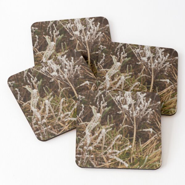 Item preview, Frosted Grass in November - Photography designed and sold by Tilosparty30.