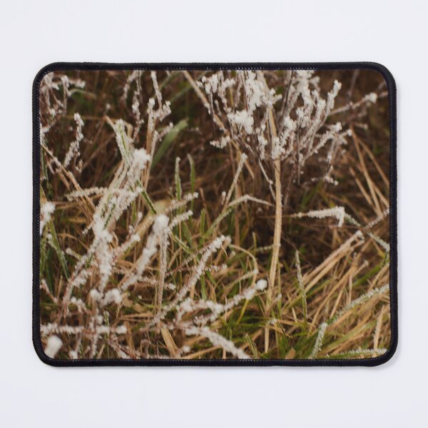 Item preview, Frosted Grass in November - Photography designed and sold by Tilosparty30.