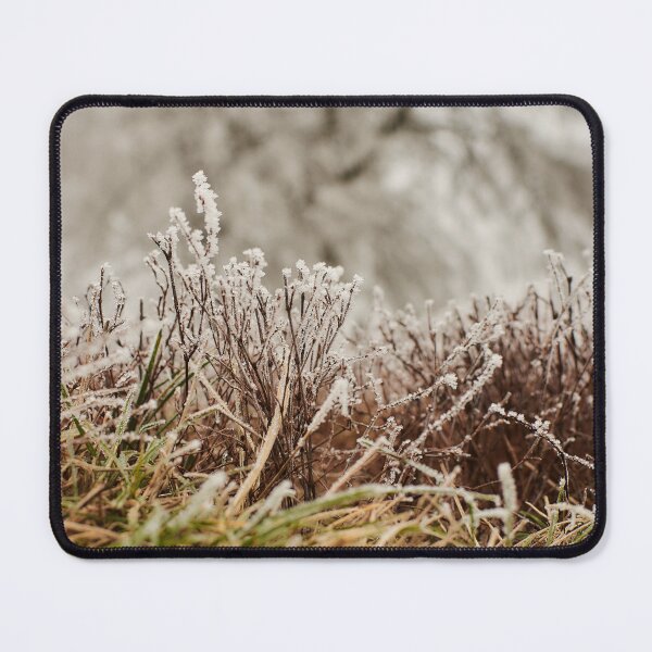 Item preview, Frosty Grass in November - Photography designed and sold by Tilosparty30.
