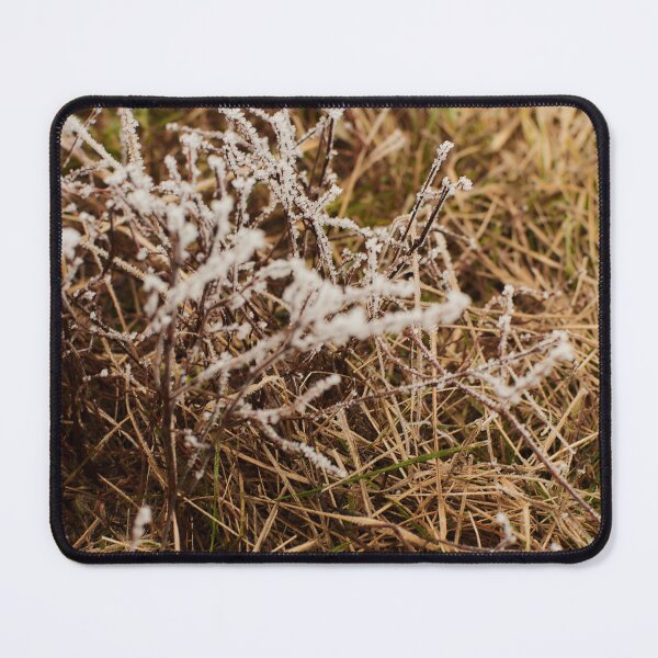 Item preview, Frosty Grass in November - Photography designed and sold by Tilosparty30.