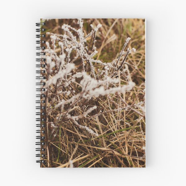 Item preview, Frosty Grass in November - Photography designed and sold by Tilosparty30.