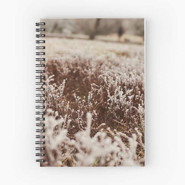 Item preview, Frosty Grass in November - Photography designed and sold by Tilosparty30.