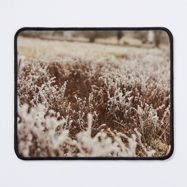 Item preview, Frosty Grass in November - Photography designed and sold by Tilosparty30.