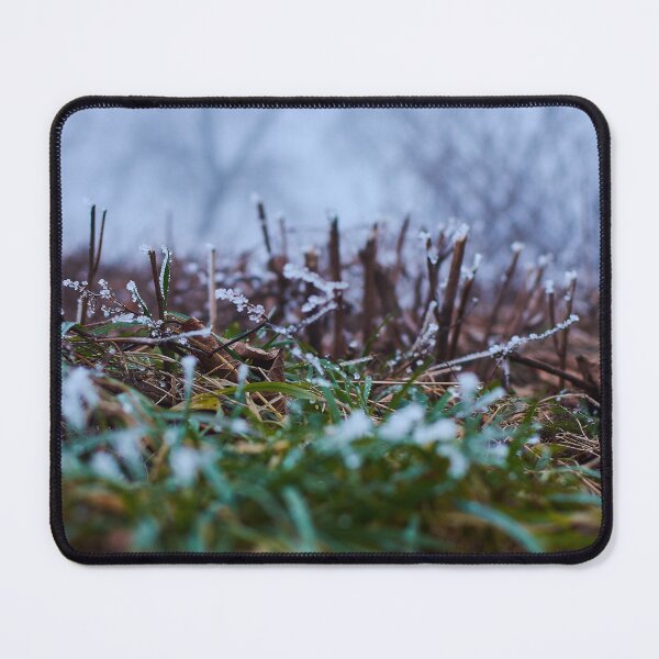 Item preview, Frosty Grass in the early morning - Photography designed and sold by Tilosparty30.