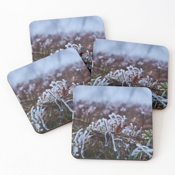 Item preview, Frosty Grass in the early morning - Photography designed and sold by Tilosparty30.