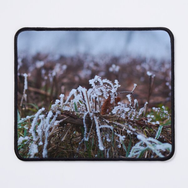 Item preview, Frosty Grass in the early morning - Photography designed and sold by Tilosparty30.