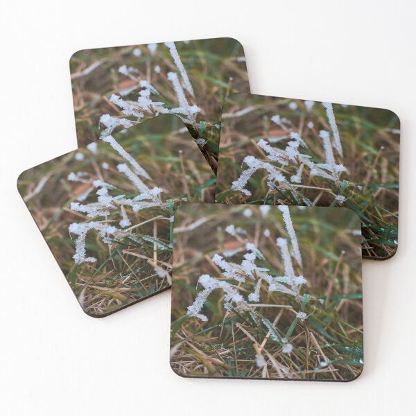 Item preview, Frosty Grass in the early morning - Photography designed and sold by Tilosparty30.