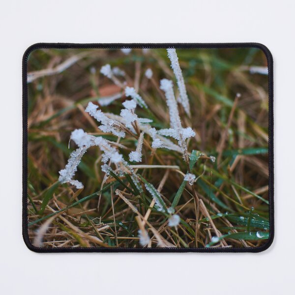 Item preview, Frosty Grass in the early morning - Photography designed and sold by Tilosparty30.