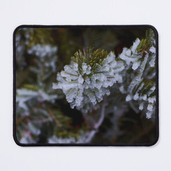 Item preview, Frosty pine branch in the early morning - Photography designed and sold by Tilosparty30.