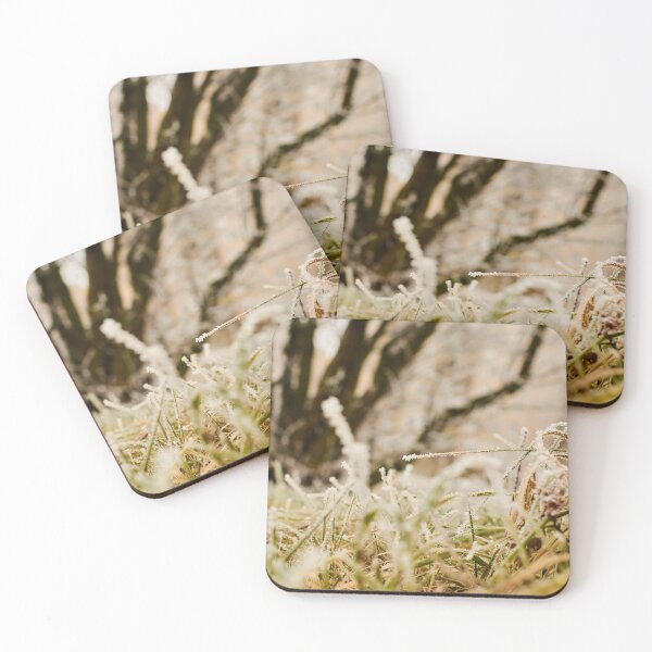 Item preview, Frosted Grass in September - Photography designed and sold by Tilosparty30.