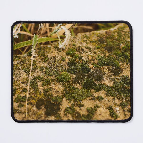 Item preview, Frost covered ground in September - Photography designed and sold by Tilosparty30.