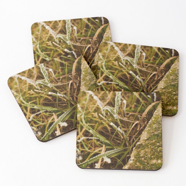 Item preview, Frosted grass - photography designed and sold by Tilosparty30.