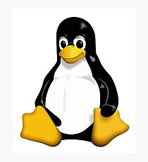 Linux Penguin Photographic Print