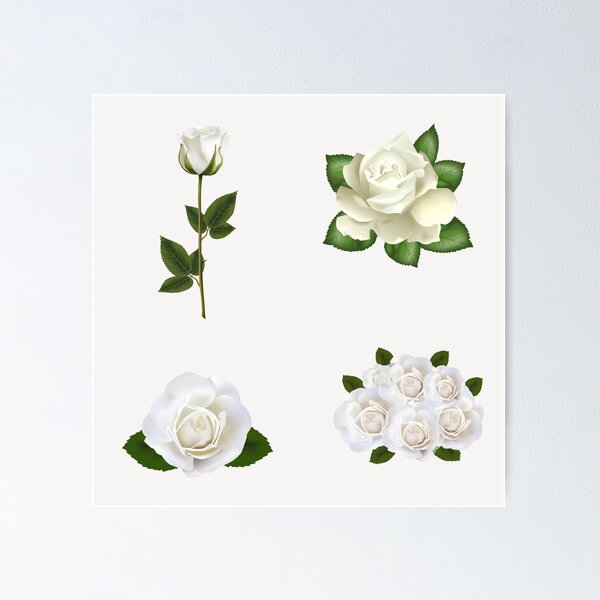 Item preview, white roses for friendship designed and sold by huape.