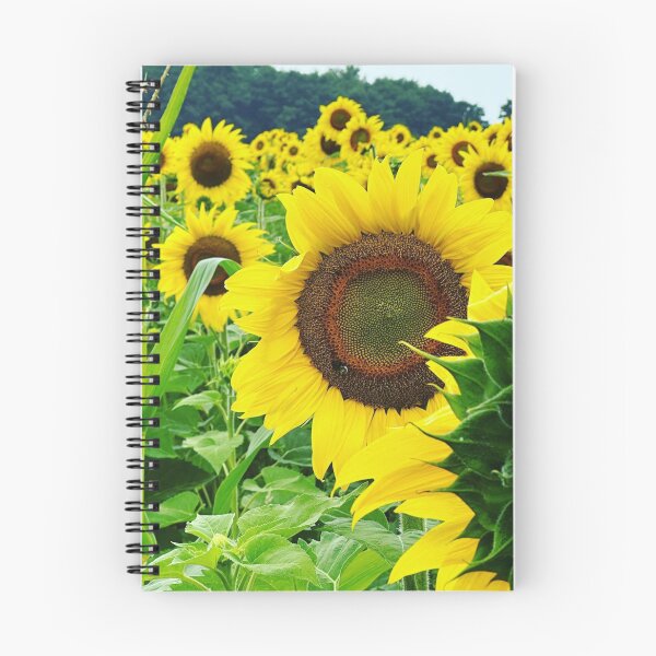 Item preview, Sunflowers designed and sold by MirStation-72.