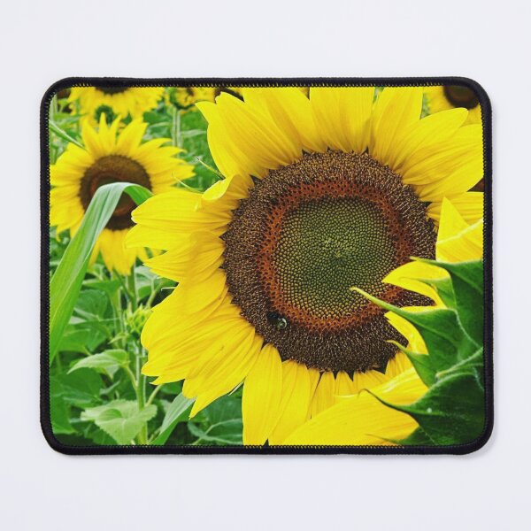 Item preview, Sunflowers designed and sold by MirStation-72.