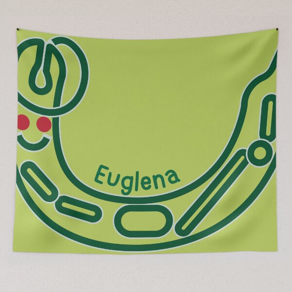 Item preview, Cute algae: Euglena with red eyespot,  Euglenoids cartoon, Freshwater plankton, Microalgae art for scientist designed and sold by thurakitdew.