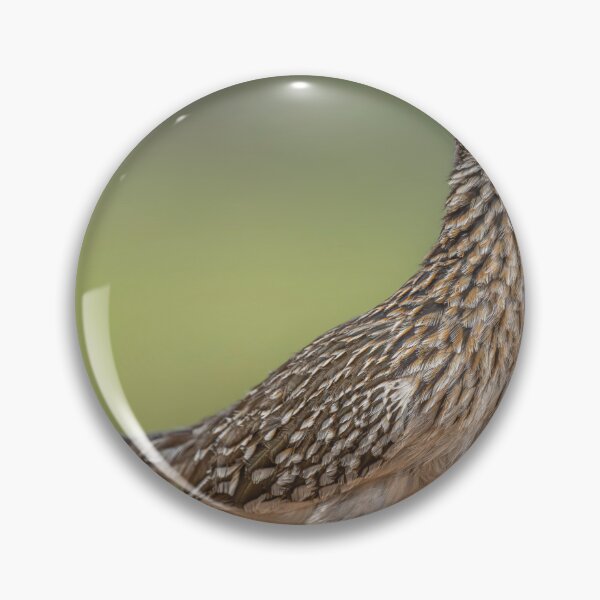Item preview, Greater Roadrunner South Texas designed and sold by PhotoArt by Joan Carroll.
