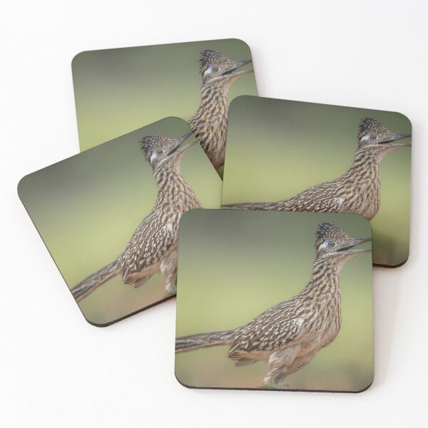 Item preview, Greater Roadrunner South Texas designed and sold by PhotoArt by Joan Carroll.