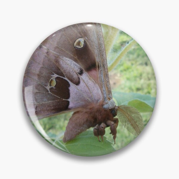 Item preview, Polyphemus Moth in Texas Garden designed and sold by Paula Betz.