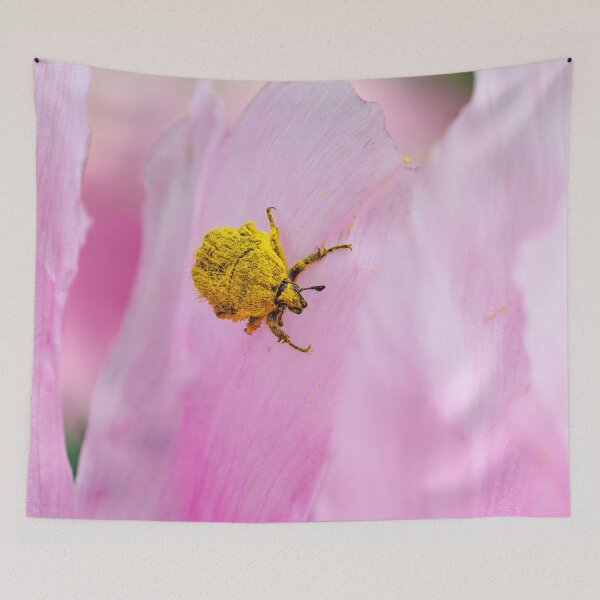 Item preview, A beetle insect covered in pollen walking on a pink petal. designed and sold by Giuseppe Cammino.