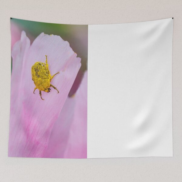 Item preview, A beetle insect covered in pollen walking on a pink petal. designed and sold by Giuseppe Cammino.