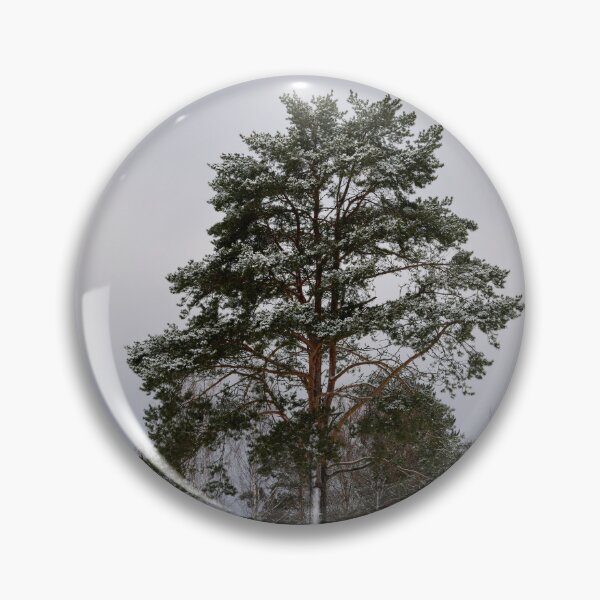 Item preview, Standing alone. Parkkuu Nov23 designed and sold by Jouko Lehto Photography.