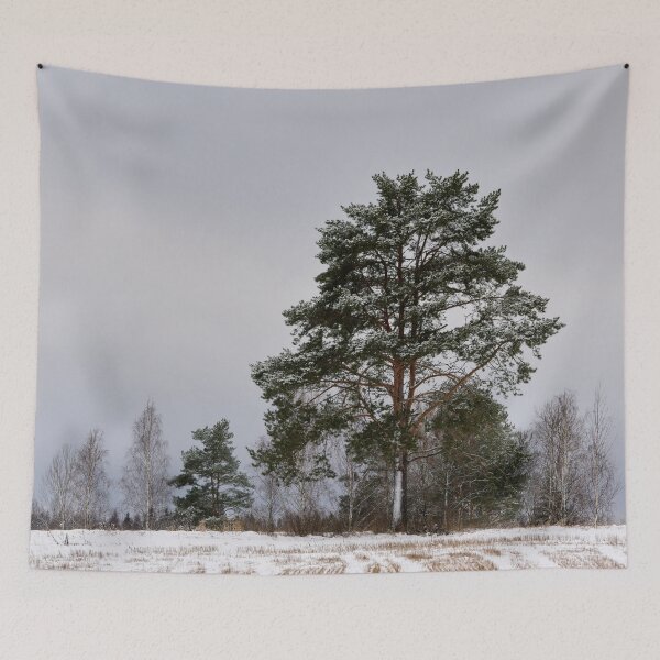 Item preview, Standing alone. Parkkuu Nov23 designed and sold by Jouko Lehto Photography.
