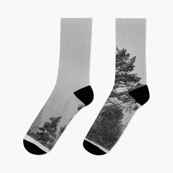 Item preview, Standing alone. Parkkuu Nov23 bw designed and sold by Jouko Lehto Photography.