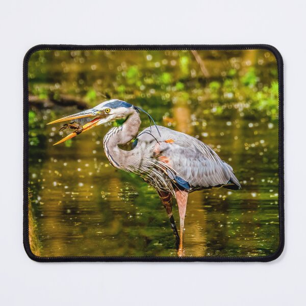 Item preview, Great Blue Heron Fishing designed and sold by Mista Vista Photos.