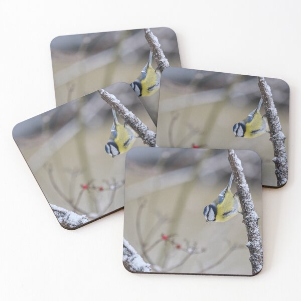 Item preview, Just hanging around. Eurasian blue tit designed and sold by Jouko Lehto Photography.