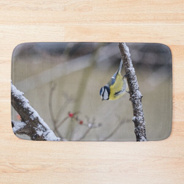 Item preview, Just hanging around. Eurasian blue tit designed and sold by Jouko Lehto Photography.