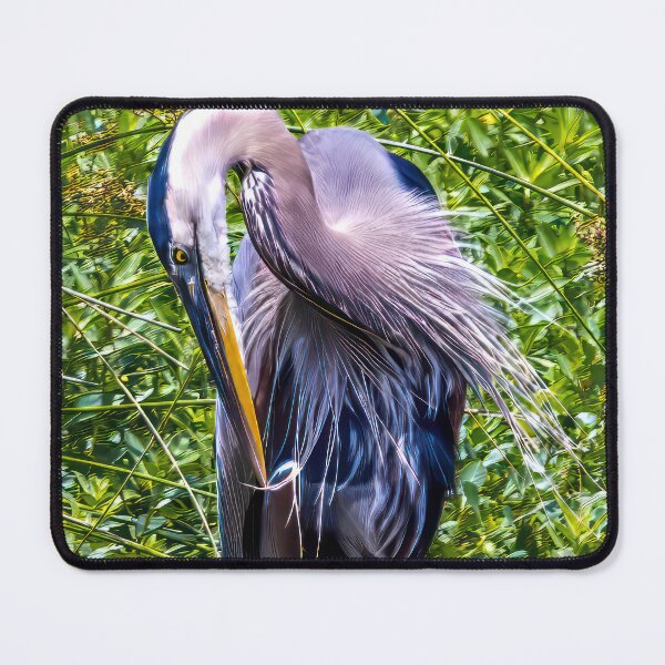 Item preview, Heron Preening designed and sold by Mista Vista Photos.