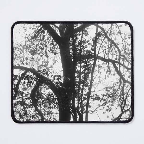 Item preview,  Digital photograph  in Monochrome  designed and sold by SimonJohnson1.