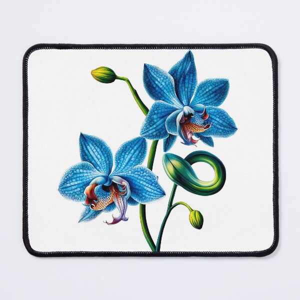 Item preview, Beautiful Blue Phalaenopsis Orchid  designed and sold by LanaGustavsson.