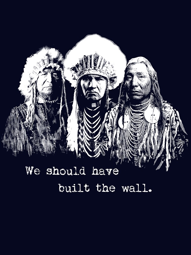We Should Have Built A Wall Shirt Native American Tee Shirt We Should Have Built A Wall Shirt Native American Tee Shirt