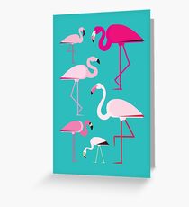 Flamingos Greeting Card