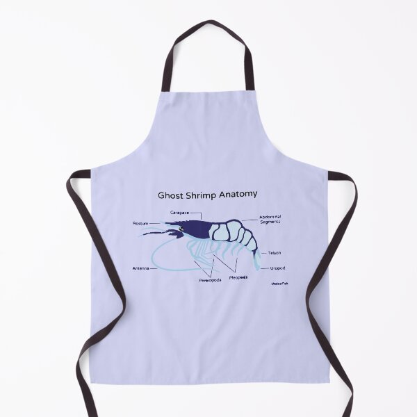 Item preview, Anatomy of a Ghost Shrimp designed and sold by Corner-Distro.