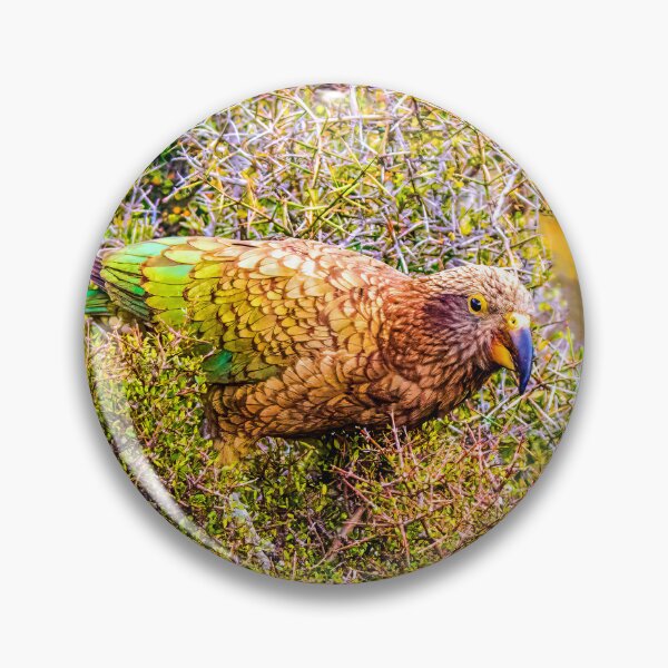 Item preview, Kea designed and sold by Mista Vista Photos.