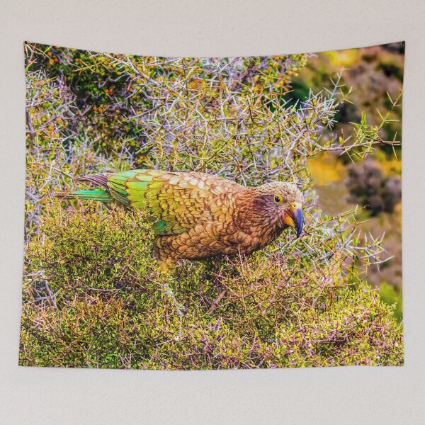 Item preview, Kea designed and sold by Mista Vista Photos.