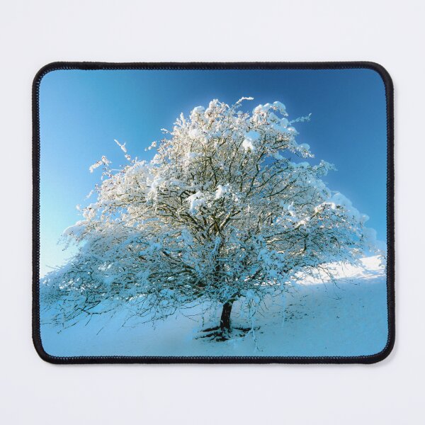 Item preview, Digital Photograph of snow clad frosted tree designed and sold by SimonJohnson1.