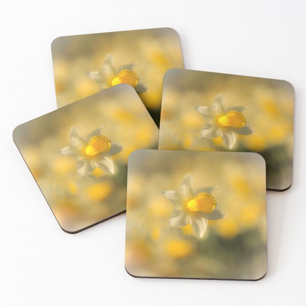 Item preview, Digital Photograph of sunlit daffodil  designed and sold by SimonJohnson1.