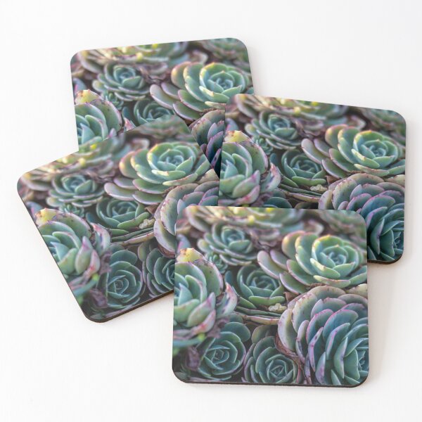 Item preview, Houseleek designed and sold by SasaSafarik95.